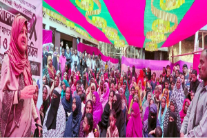 পরিপূর্ণ গণতান্ত্রিক দেশ গঠনে বিএনপির বিকল্প নেই : তাহসিনা রুশদীর