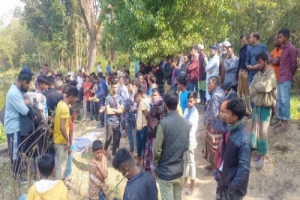 চুনারুঘাটে ইজিবাইক চালকের গলাকাটা লাশ উদ্ধার