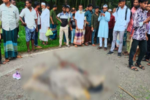 তামাবিল মহাসড়কে বাসের চাপায় কিশোরী নিহত, আহত ৩