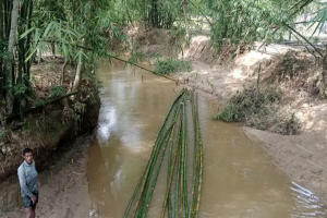 সংরক্ষিত বন থেকে উজাড় হচ্ছে গাছ-বাঁশ