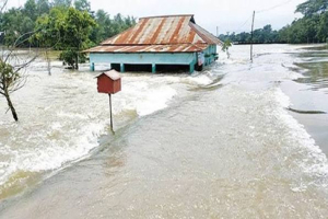 সিলেটে বাড়ছে নদ-নদীর পানি, বন্যার শঙ্কা
