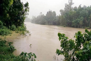 সিলেটে চার পয়েন্টে বিপৎসীমার ওপরে কুশিয়ারা