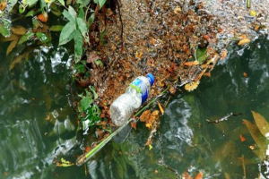 পর্যটকদের প্লাস্টিক বর্জ্যে হুমকিতে রাতারগুল