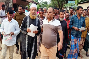 কোম্পানীগঞ্জে হাকিম চৌধুরী লিফলেট বিতরণ অব্যাহত