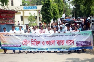 'ষড়যন্ত্রের মাধ্যমে আমলারা দেশটা তাদের দখলে নিতে চাচ্ছে'