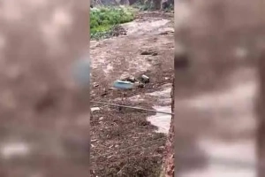 যুক্তরাষ্ট্রে ভয়াবহ আকস্মিক বন্যায় নিহত ১, নিখোঁজ অন্তত ১৫