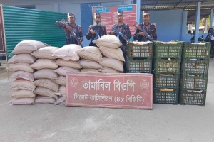 সিলেট ও সুনামগঞ্জে ৫৩ লক্ষ টাকার চোরাই পণ্য আটক