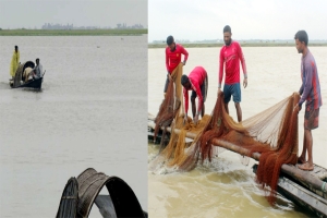 হাওরে মাছ নেই, বিপাকে জেলেরা