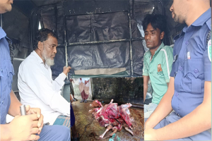 জৈন্তাপুরে মৃত গরুর মাংস বিক্রির অভিযোগে ভ্রাম্যমাণ আদালতের অভিযান