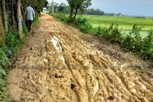চুনারুঘাটের জলিল-নোয়াবাদ রাস্তার বেহাল দশা