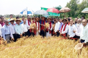 ধানের দালালরাও অর্থনীতির অংশ : কৃষিমন্ত্রী 