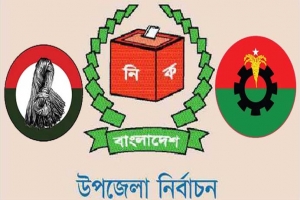 উপজেলা নির্বাচনে যেতে চায় তৃনমূলের একাংশ, বিএনপির না