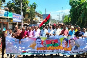 হবিগঞ্জে বিএনপির ৪৭তম প্রতিষ্ঠাবার্ষিকীতে বর্ণাঢ্য র‌্যালি