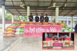সিলেট সীমান্তে প্রায় ২ কোটি টাকার মালামাল আটক