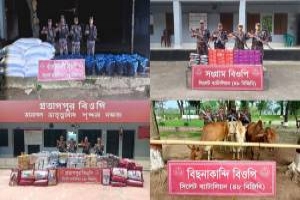 সিলেট সীমান্তে প্রায় দেড় কোটি টাকার চোরাই পণ্য জব্দ