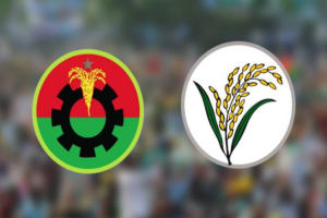 নিরঙ্কুশ জয় নিয়ে সরকার গঠনের পথে বিএনপি