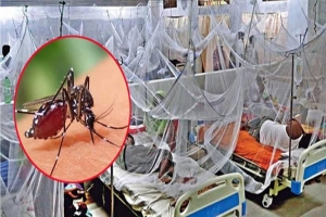 সিলেটে আরও দু’জনের ডেঙ্গু সনাক্ত
