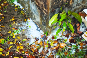 সিলেটে বৃষ্টিবলয় ‘গোধূলি’র প্রভাবে বজ্রসহ শিলাবৃষ্টি