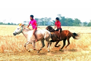 বিশ্বনাথে ঘোড় দৌঁড় প্রতিযোগীতা অনুষ্ঠিত