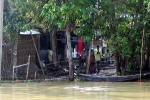 ওসমানীনগরে অর্ধশতাধিক গ্রাম প্লাবিত