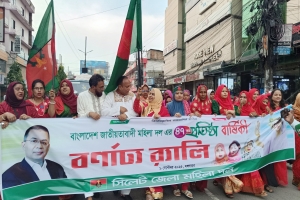 তারেক রহমানের নেতৃত্বে বাংলাদেশ আবারও সঠিক পথে ফিরবে : এমরান চৌধুরী