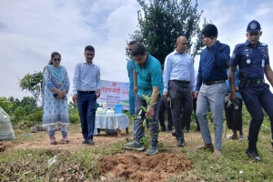 মালনীছড়ায় উদ্ধারকৃত খাস জমিতে বৃক্ষরোপণ