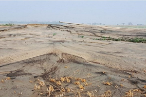 ধ্বংস হচ্ছে নদীর চর, বদলে যাচ্ছে গতিপথ