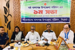 ঐক্যবদ্ধভাবে কাজ করলে মডেল বালাগঞ্জ বিনির্মাণ সম্ভব : হাবিবুর রহমান এমপি