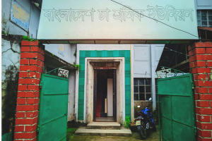 কে আটকে আছে চা-শ্রমিক ইউনিয়ন নির্বাচন? কে আটকে আছে চা-শ্রমিক ইউনিয়ন নির্বাচন?