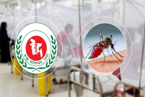 ডেঙ্গুতে এক সপ্তাহে ১৬ জনের মৃত্যু