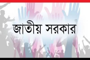 জাতীয় সরকার গঠনে কেন রাজি হয়নি বিএনপি?