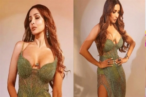 কত সম্পদের মালকিন মালাইকা অরোরা?