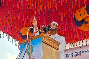 গণভোট অবৈধ হলে বিএনপি সরকারও অবৈধ: মামুনুল হক