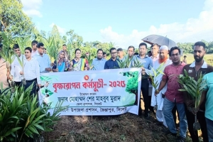 জৈন্তাপুরে বৃক্ষরোপন কর্মসূচির উদ্বোধন করলেন জেলা প্রশাসক