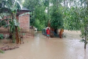 মৌলভীবাজারে আকস্মিক বন্যায় পানিবন্দি হাজারো মানুষ