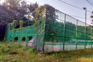 শাবির ‘পরিত্যক্ত’ টেনিসকোর্টে খেলা হয় ক্রিকেট!