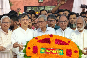 গণতন্ত্র ধ্বংসের চক্রান্ত চলছে : মির্জা ফখরুল