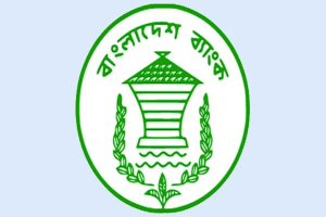 মূল্যস্ফীতির চাপ বাড়াচ্ছে জ্বালানির বাড়তি দাম