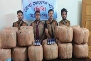 হবিগঞ্জে বিপুল পরিমাণ গাঁজাসহ নারী আটক