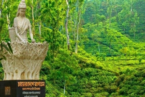 ঈদের ছুটিতে ফাঁকা শ্রীমঙ্গলের হোটেল রিসোর্ট