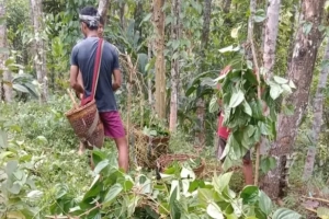 ছয় বছর ধরে প্রধান শিক্ষকশূন্য বিদ্যালয়