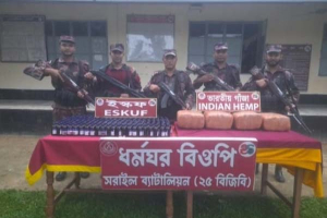 মাধবপুর সীমান্তে ২০ কেজি গাঁজা ও ২৭০ বোতল ইস্কফ সিরাপ উদ্ধার