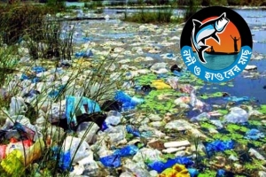জনস্বাস্থ্যের জন্য হুমকি নদী ও হাওরের মাছ