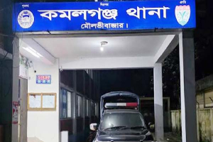 কমলগঞ্জে দুই অটোরিকশার সংঘর্ষে তরুণী নিহত, আহত ৫
