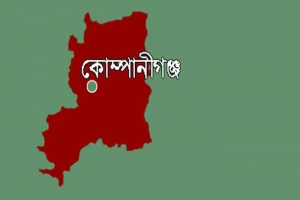 কোম্পানীগঞ্জে একই দিনে দুই গৃহবধূর মৃত্যু