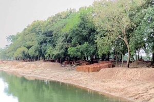 দোয়ারায় বালু-পাথর ‘গিলে খাচ্ছে’ ফসল রক্ষা বাঁধ