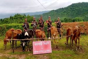 জৈন্তাপুর সীমান্তে ভারতীয় গরু-মহিষ জব্দ