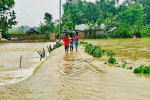 কমলগঞ্জে লাউয়াছড়ার বাঁধ ভেঙে প্লাবিত দুই গ্রাম