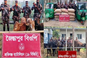 কানাইঘাটে ভারতীয় গরু-মহিষসহ অবৈধ মালামাল জব্দ