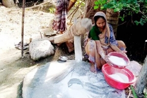নবীগঞ্জে বিলুপ্তির পথে গ্রাম-বাংলার ঐতিহ্য ঢেঁকি